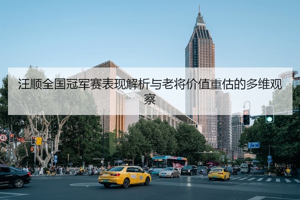 汪顺全国冠军赛表现解析与老将价值重估的多维观察